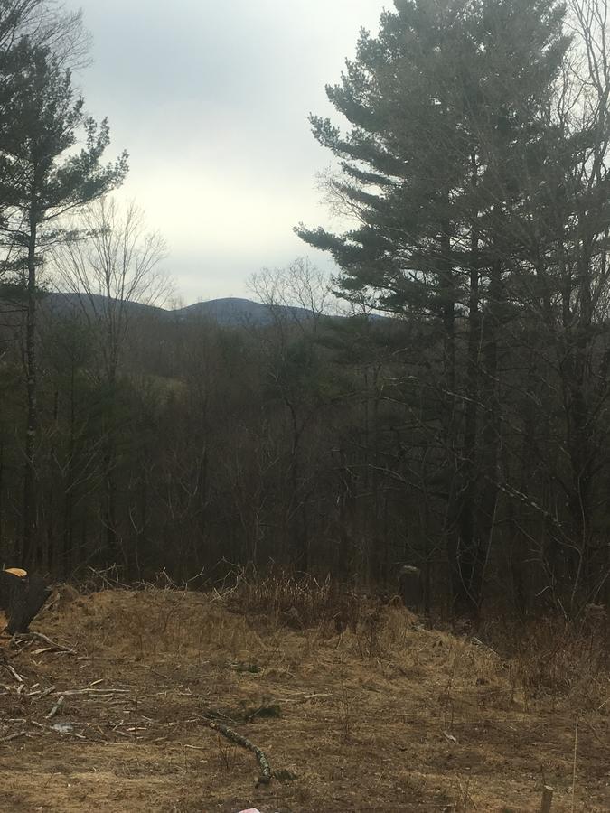 Cozy Cabin In The Catskills East Durham المظهر الخارجي الصورة